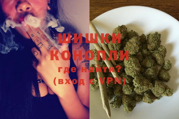 гидра Волоколамск