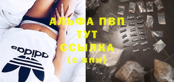 скорость Бородино
