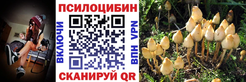 цены   Дмитриев  Псилоцибиновые грибы GOLDEN TEACHER 